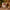 Kerstkussen met Kabouter & Feestelijke Lichtjes – Urbane Hide Urbane Hide