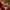 Kerstkussen met decoratieve ornamenten – Urbane Hide Urbane Hide