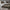 Greyloom Bloemrijk Katoenen Handgeweven Plaid – Urbane Hide Urbane Hide